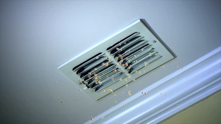Best Local Air Duct Cleaning Services  in Apollo, PA